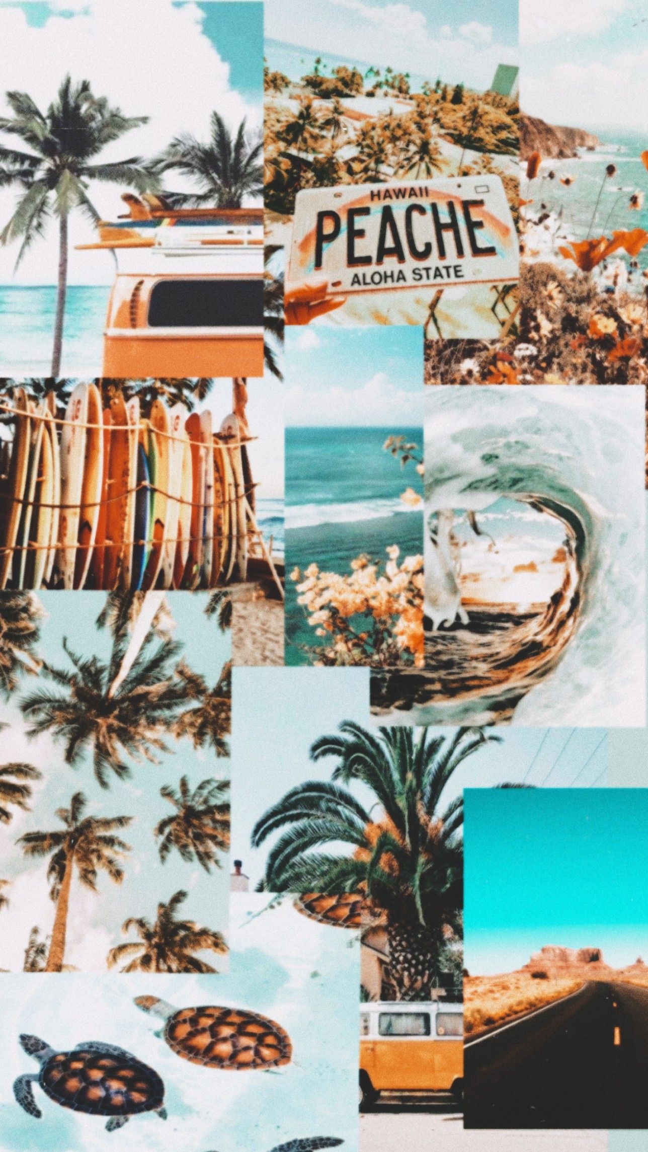 Aesthetic Summer Wallpapers