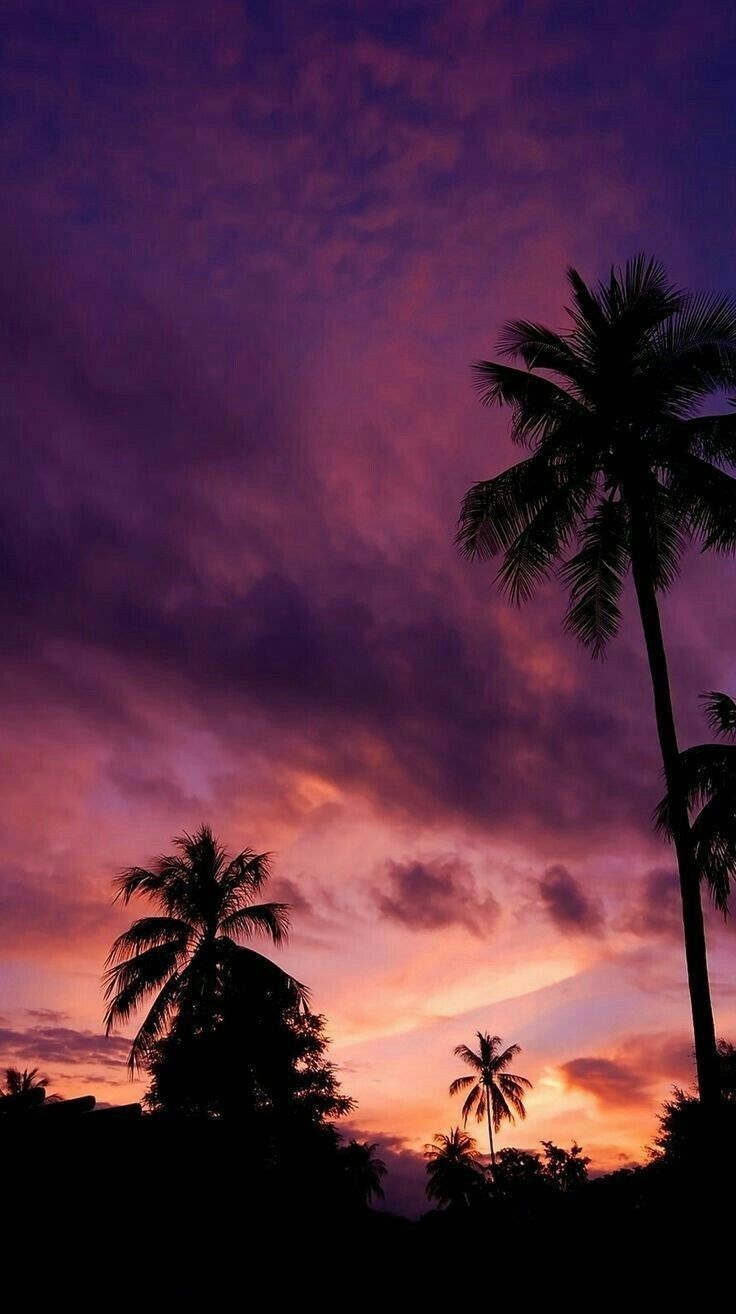 Aesthetic Sunset Iphone Wallpapers