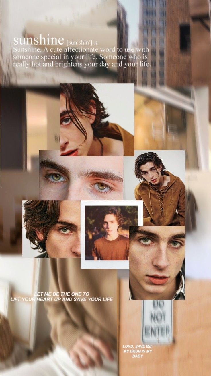 Aesthetic Timothee Chalamet Wallpapers