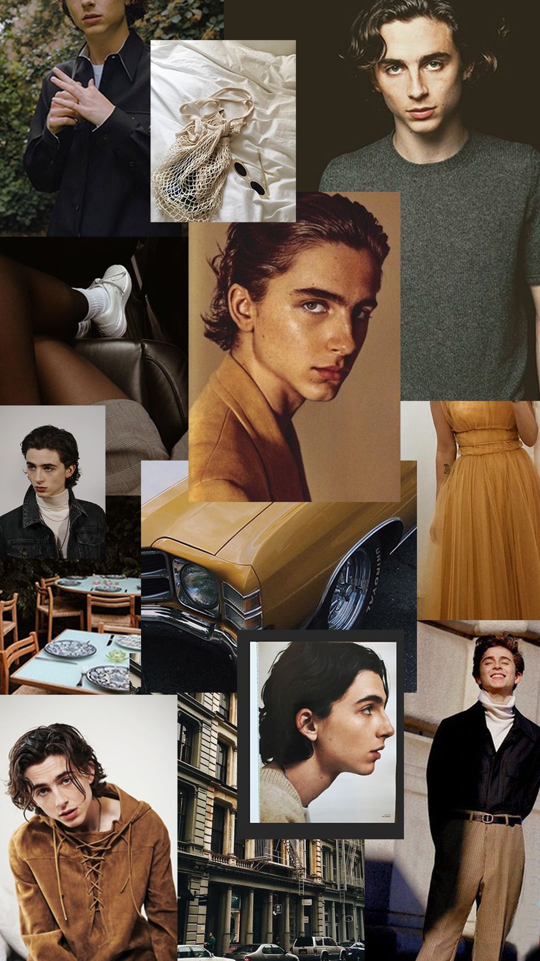 Aesthetic Timothee Chalamet Wallpapers