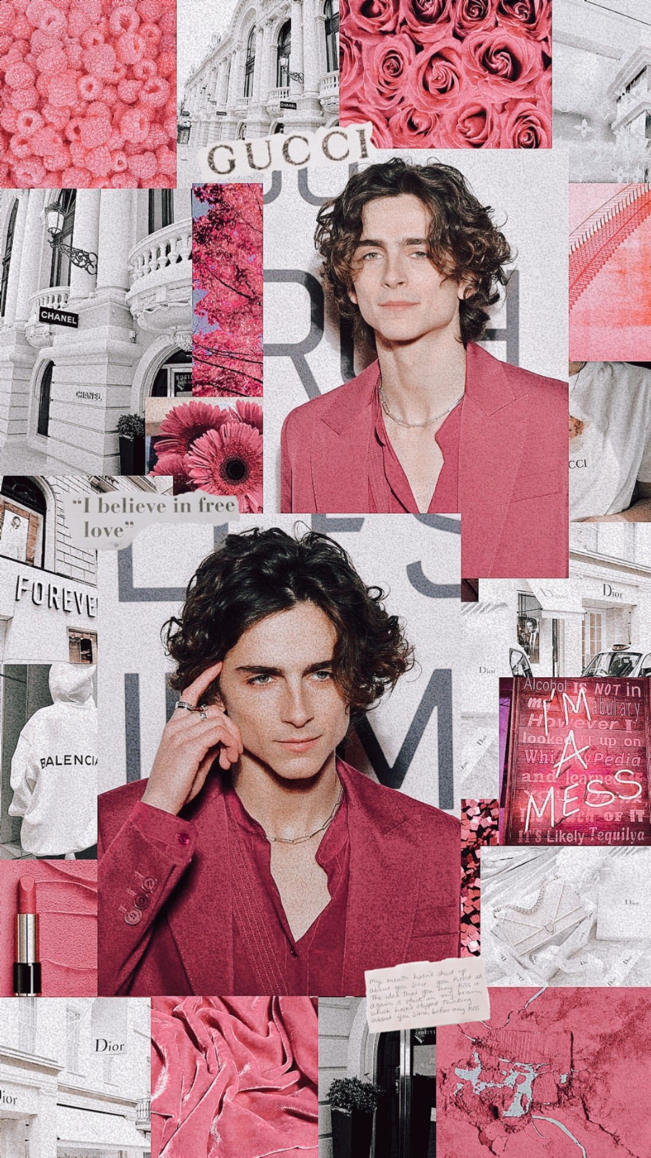 Aesthetic Timothee Chalamet Wallpapers