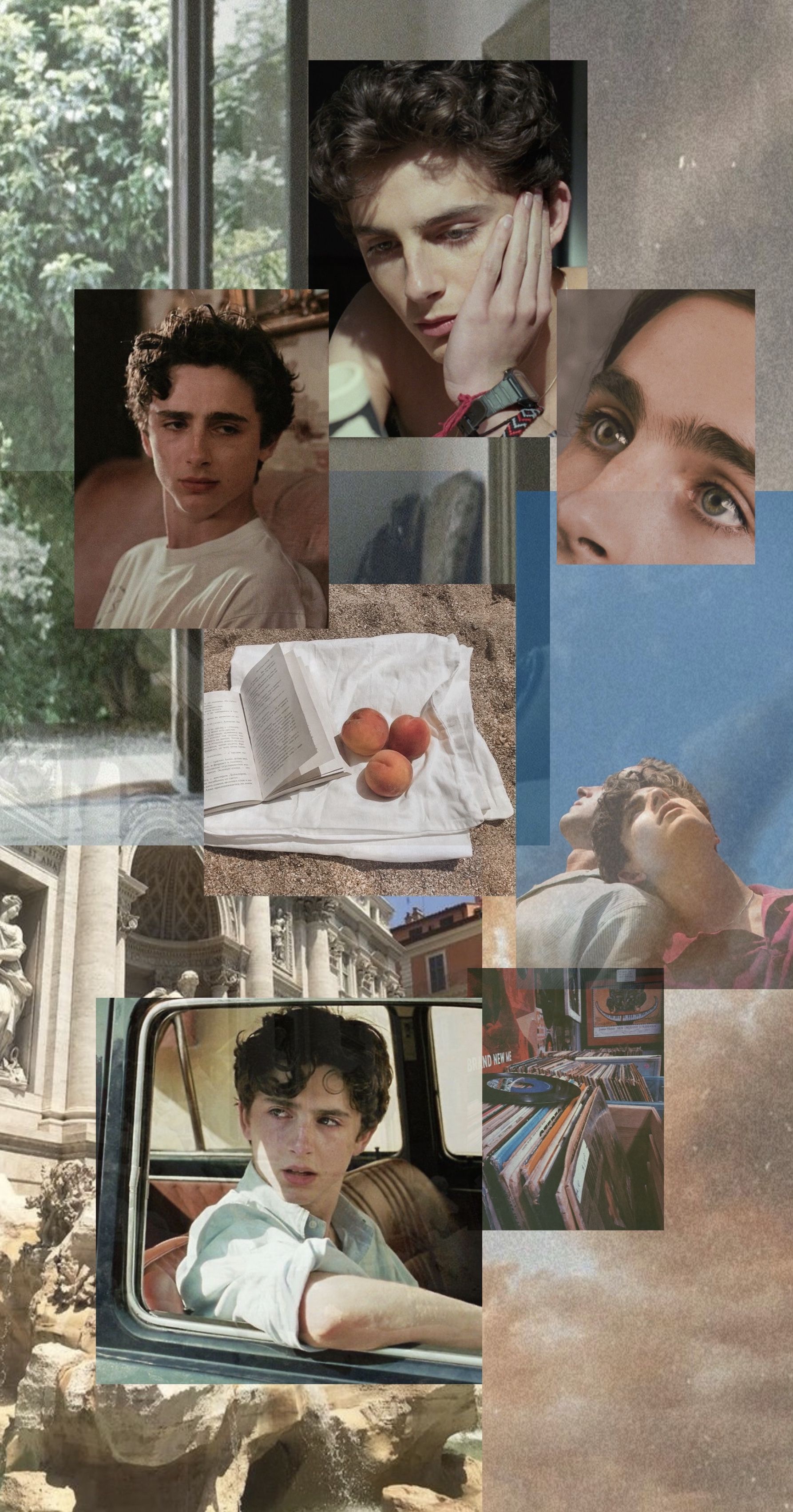 Aesthetic Timothee Chalamet Wallpapers