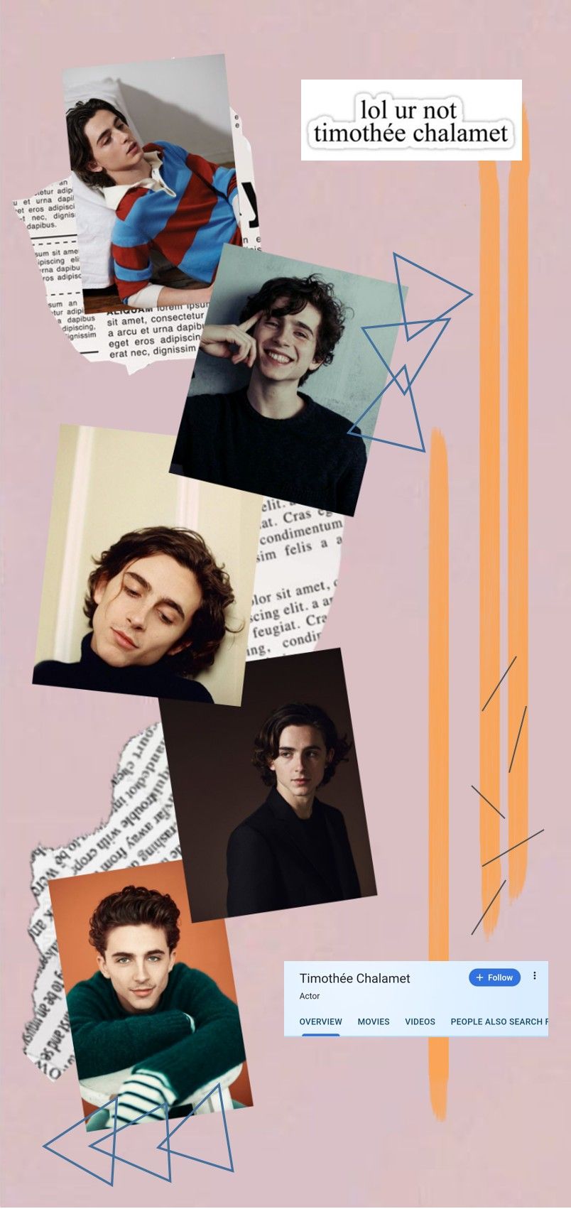 Aesthetic Timothee Chalamet Wallpapers