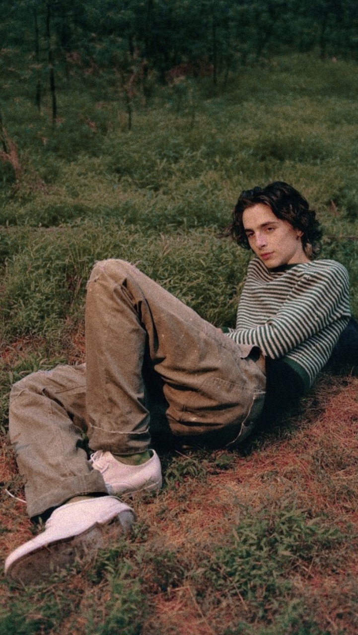 Aesthetic Timothee Chalamet Wallpapers