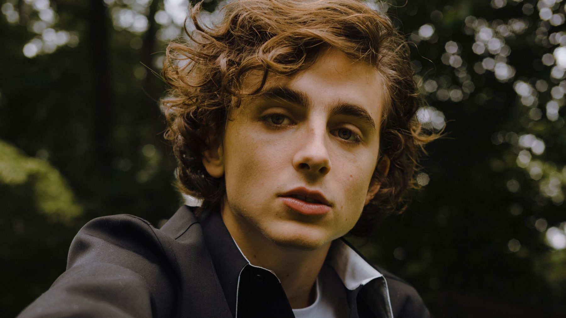 Aesthetic Timothee Chalamet Wallpapers