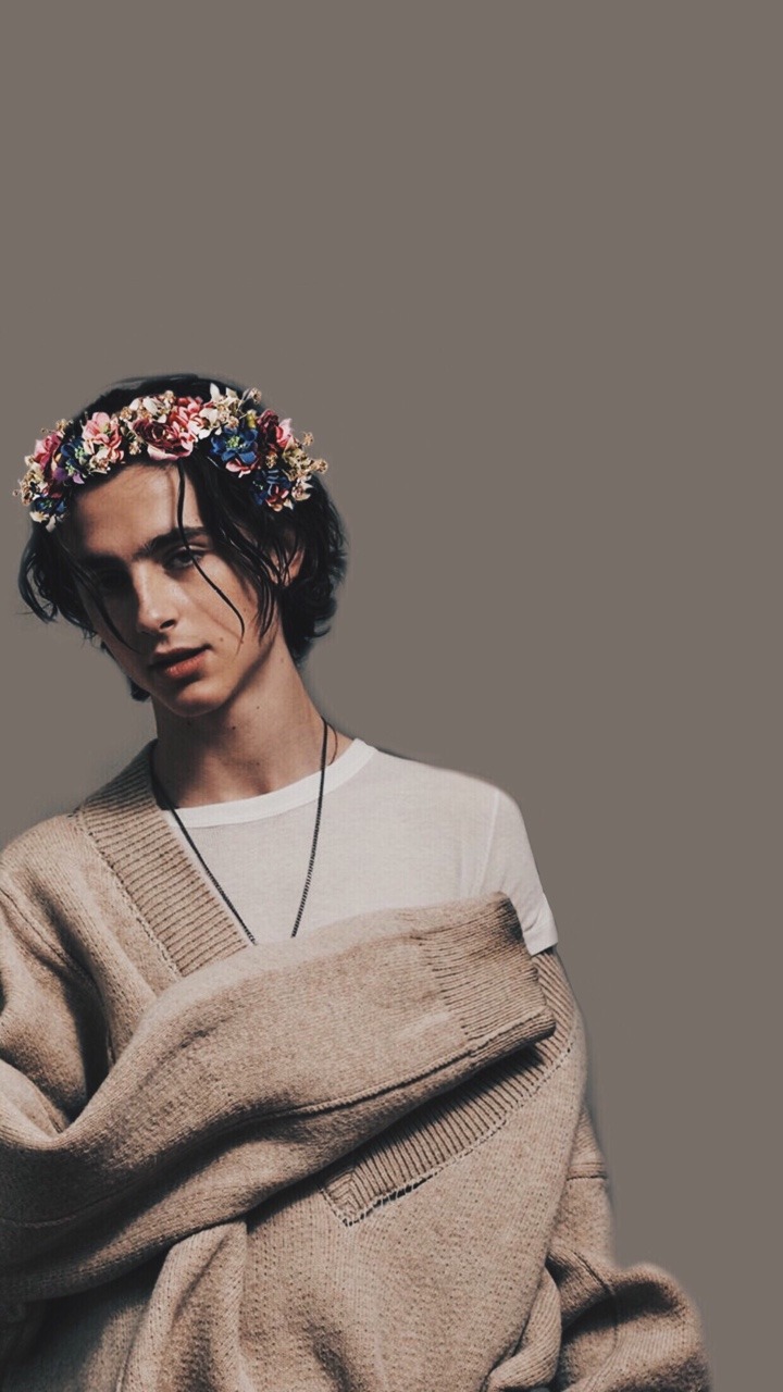 Aesthetic Timothee Chalamet Wallpapers