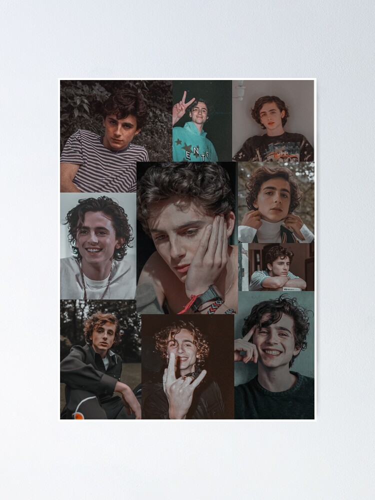 Aesthetic Timothee Chalamet Wallpapers