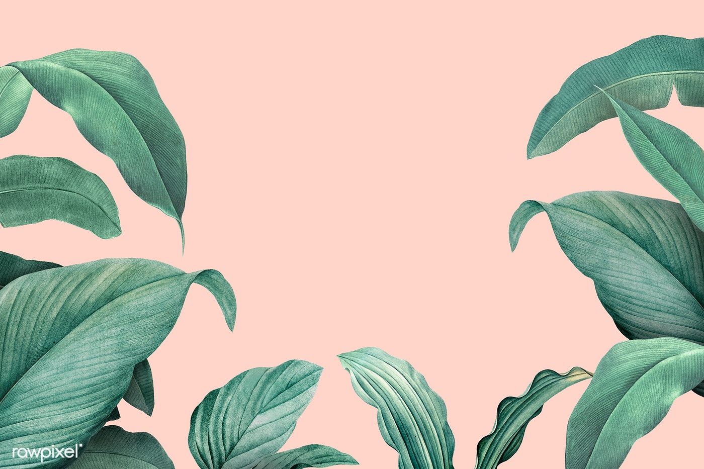 Aesthetic Tropical Desktop Wallpapers