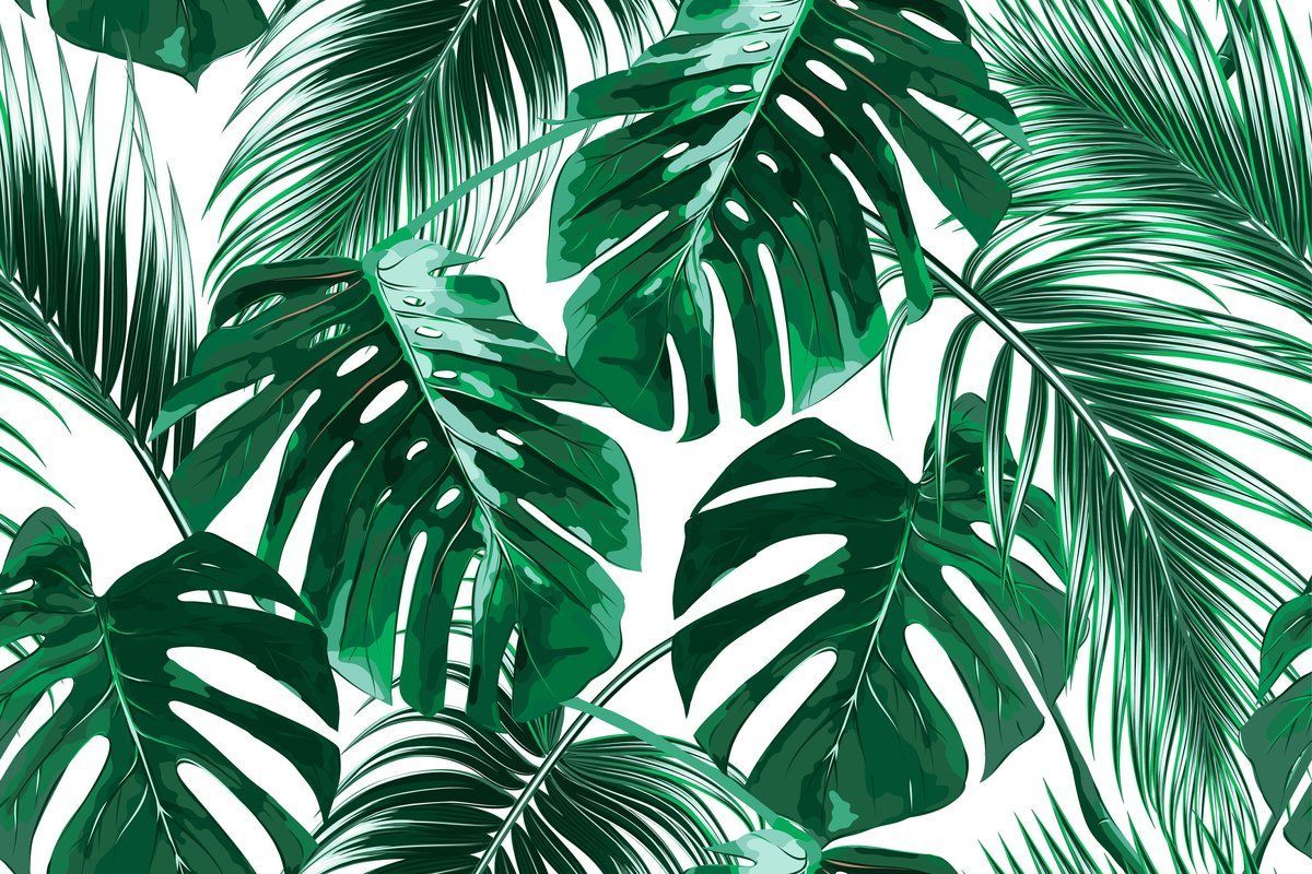 Aesthetic Tropical Desktop Wallpapers