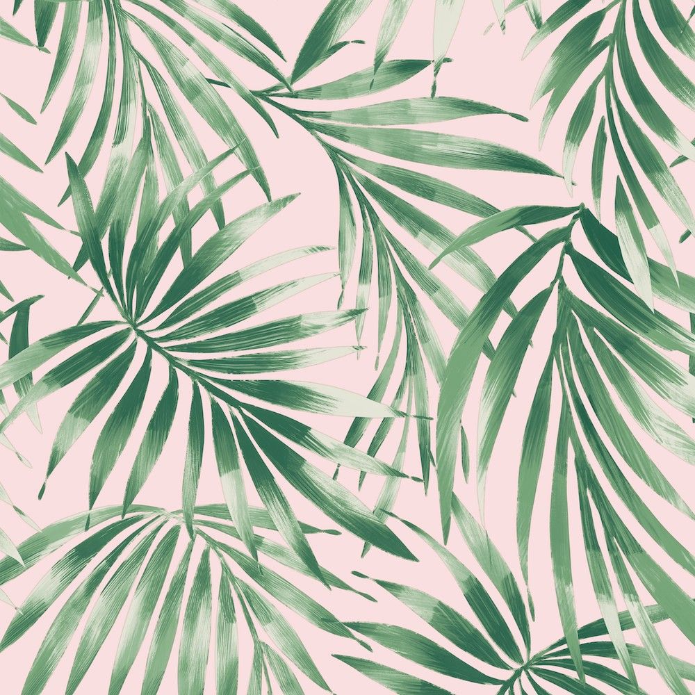 Aesthetic Tropical Leaves Wallpapers