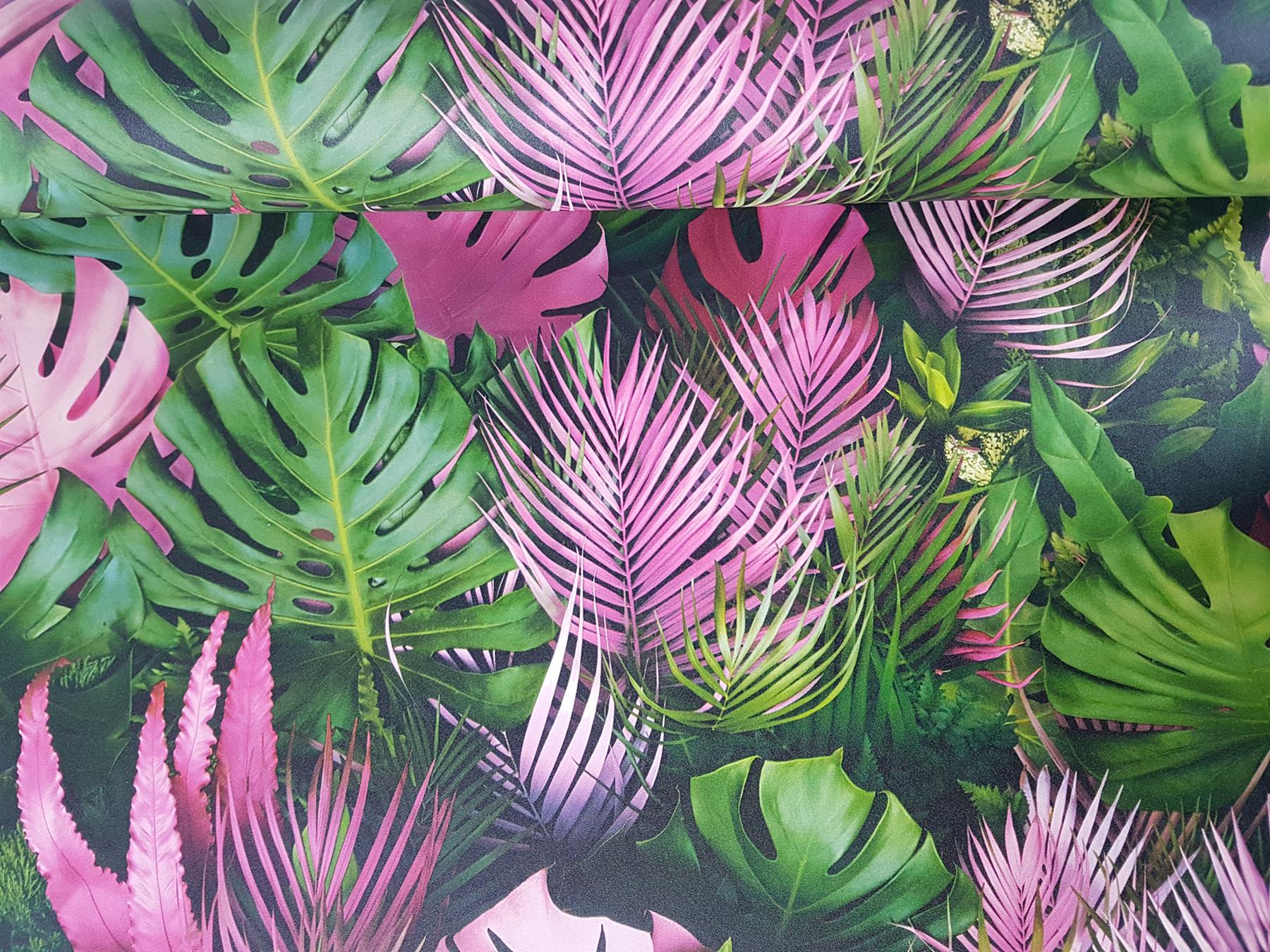 Aesthetic Tropical Leaves Wallpapers