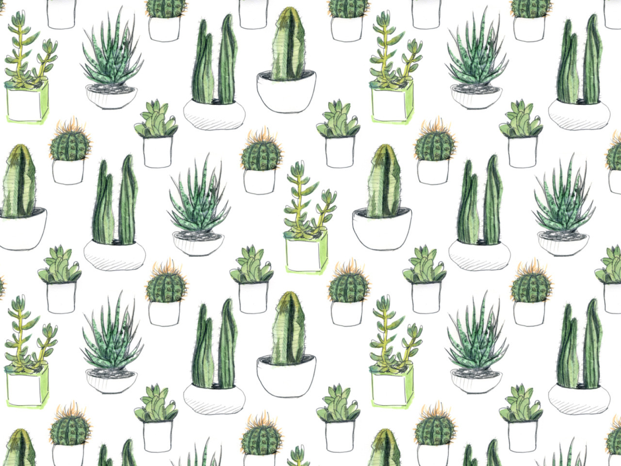 Aesthetic Tumblr Plant Wallpapers