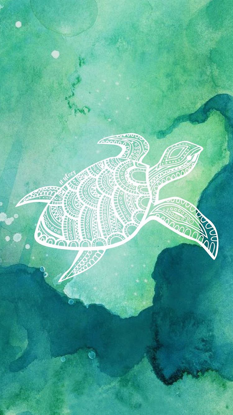 Aesthetic Turtle Wallpapers