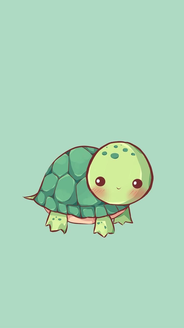 Aesthetic Turtle Wallpapers