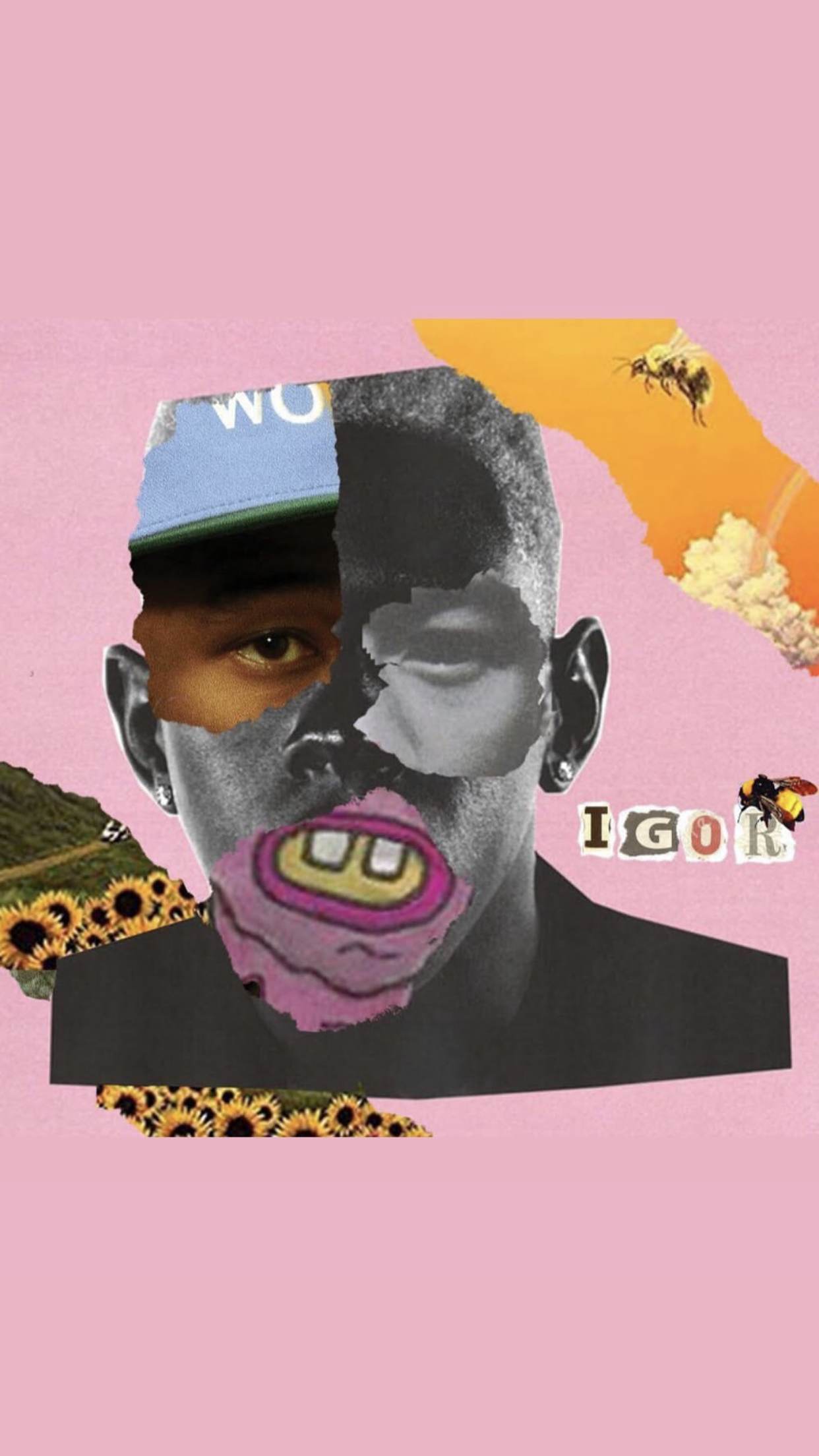 Aesthetic Tyler The Creator Wallpapers