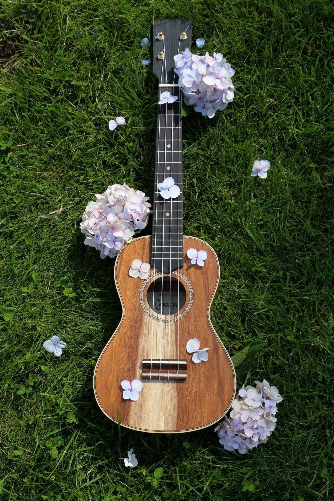 Aesthetic Ukuleles Wallpapers