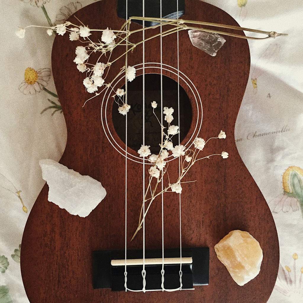 Aesthetic Ukuleles Wallpapers