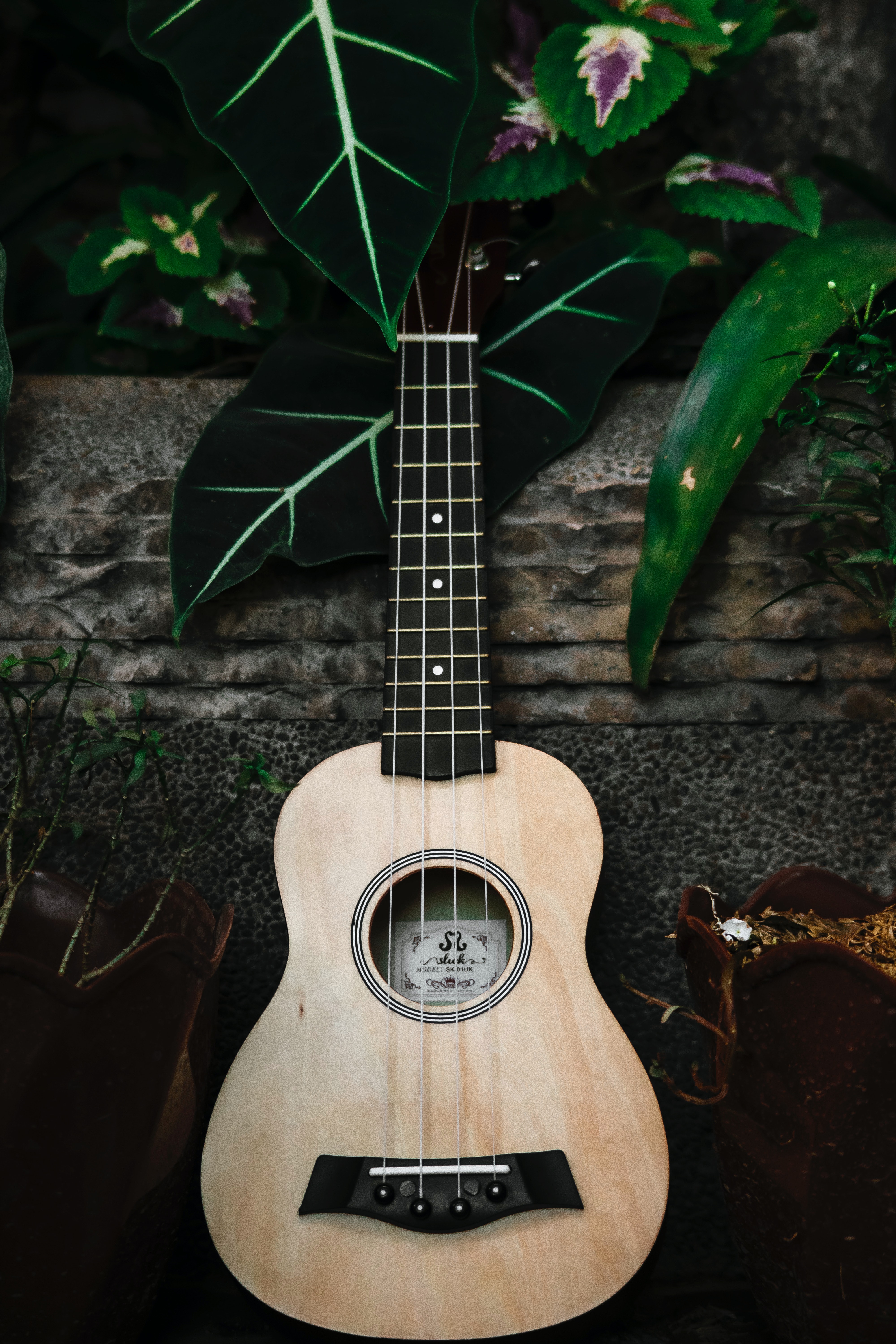 Aesthetic Ukuleles Wallpapers