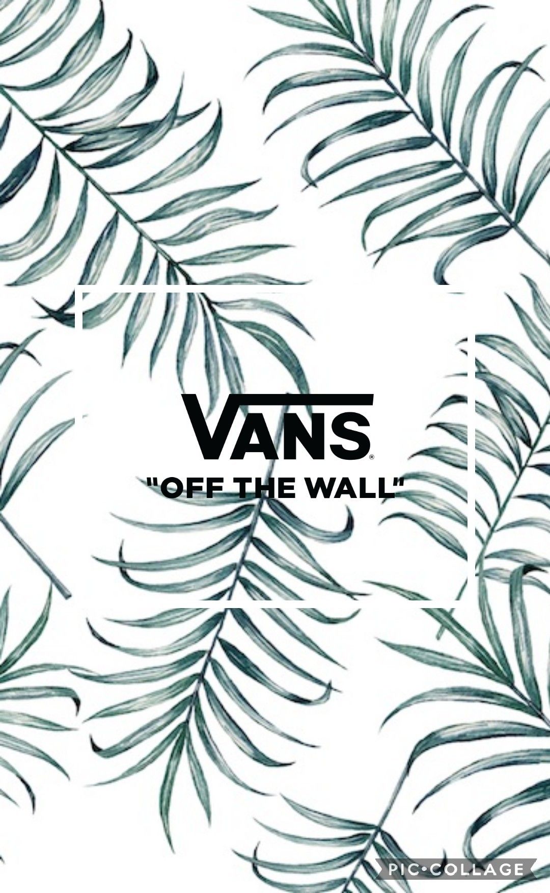 Aesthetic Vans Pictures Wallpapers