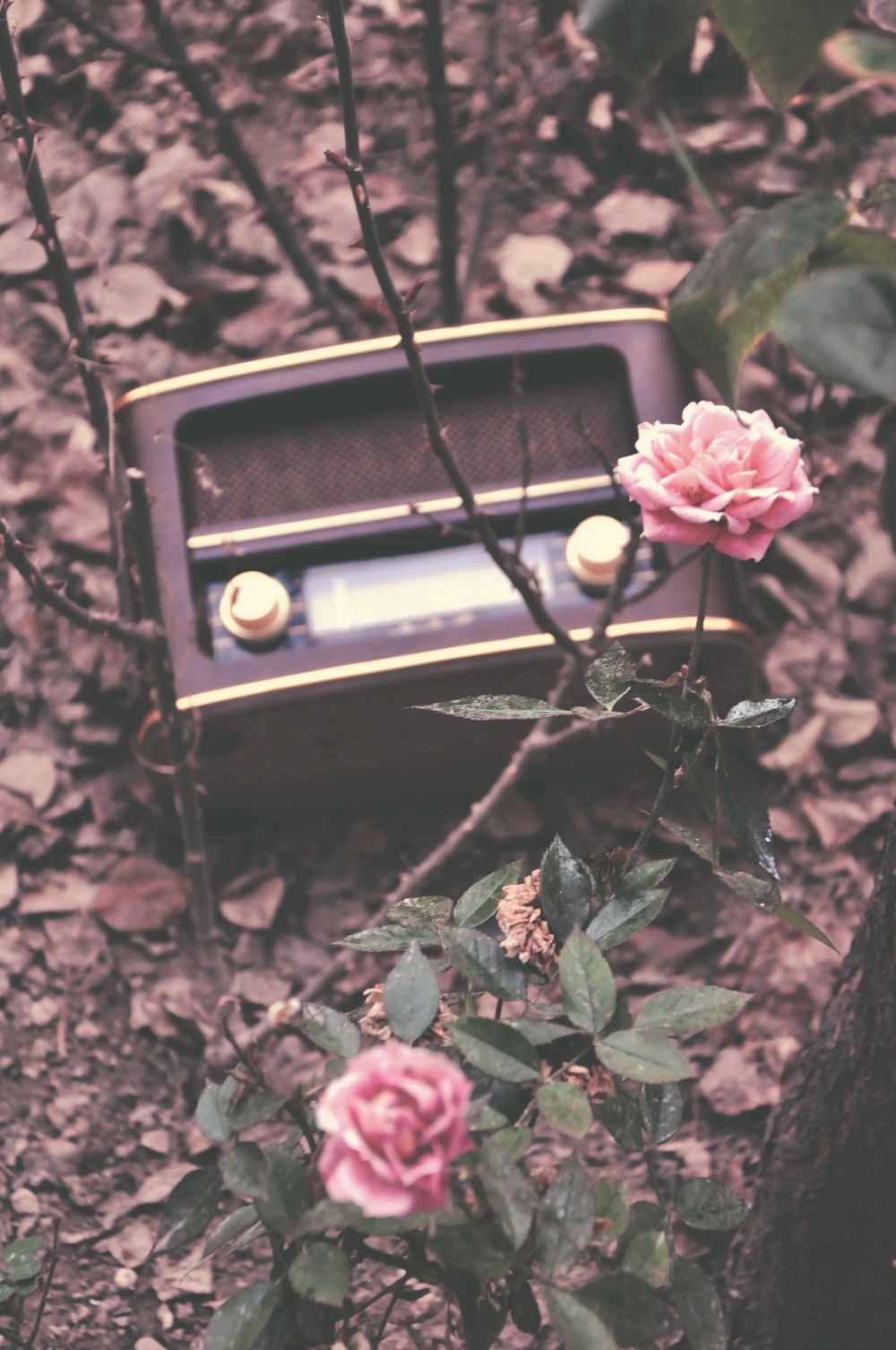 Aesthetic Vintage Radio Wallpapers