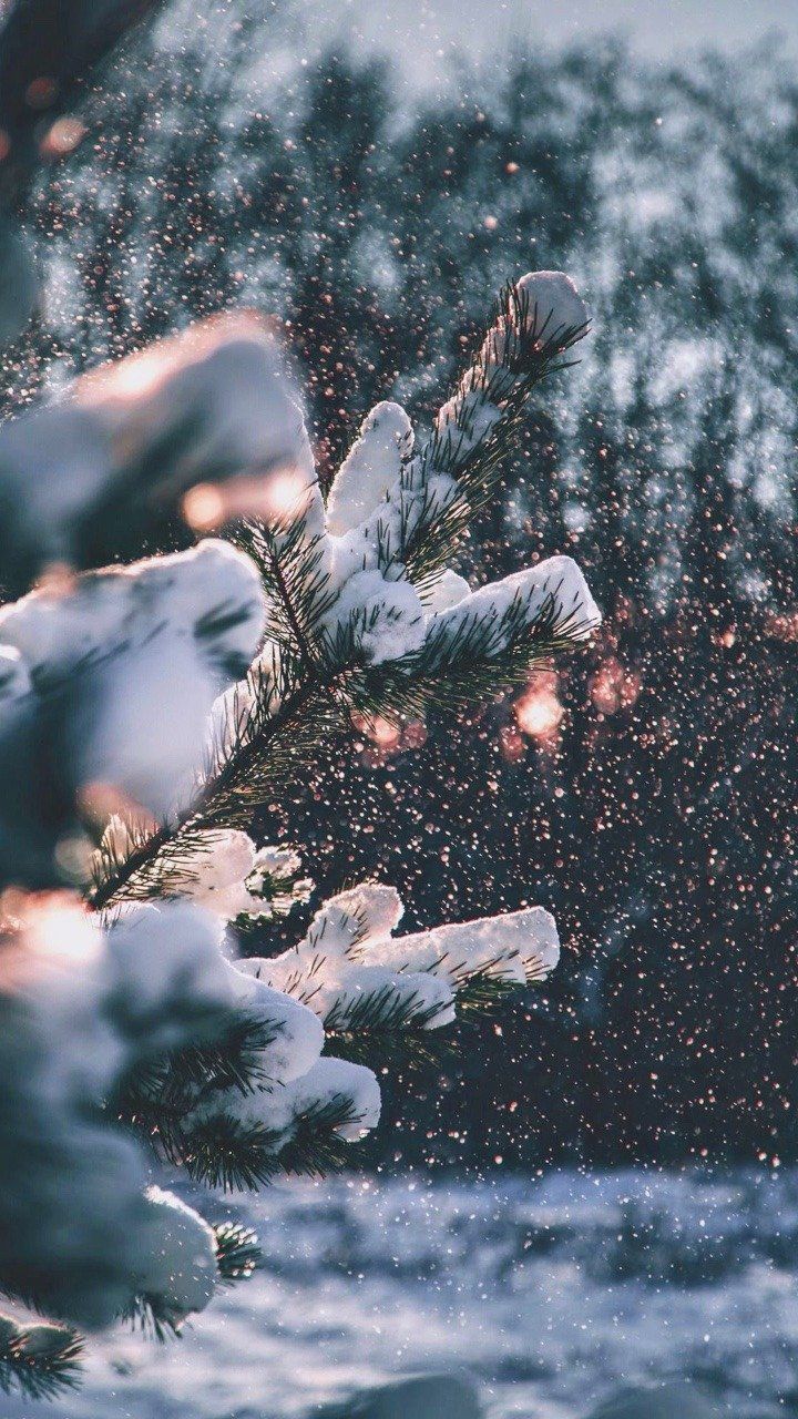 Aesthetic Winter Wallpapers