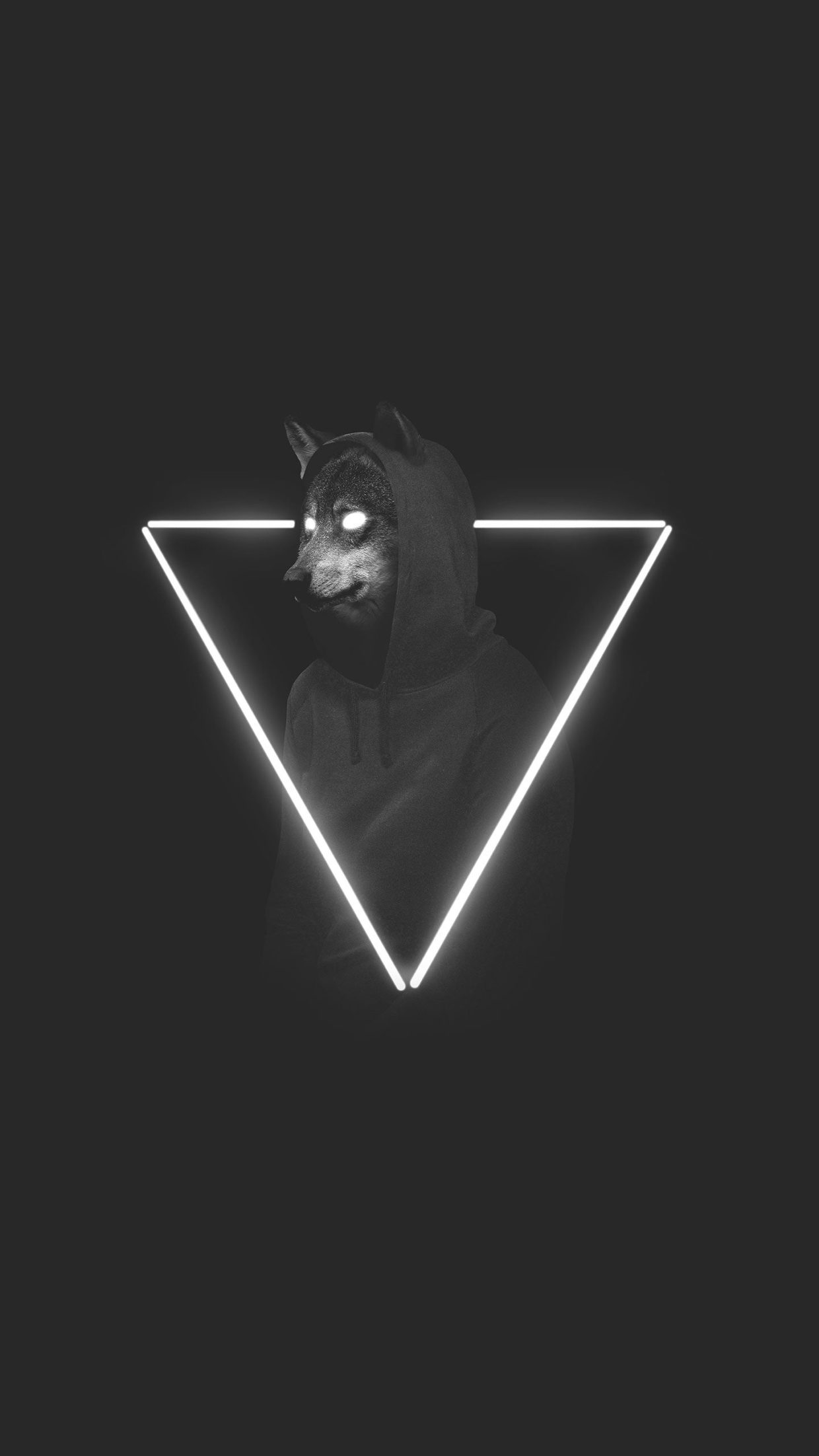 Aesthetic Wolf Wallpapers