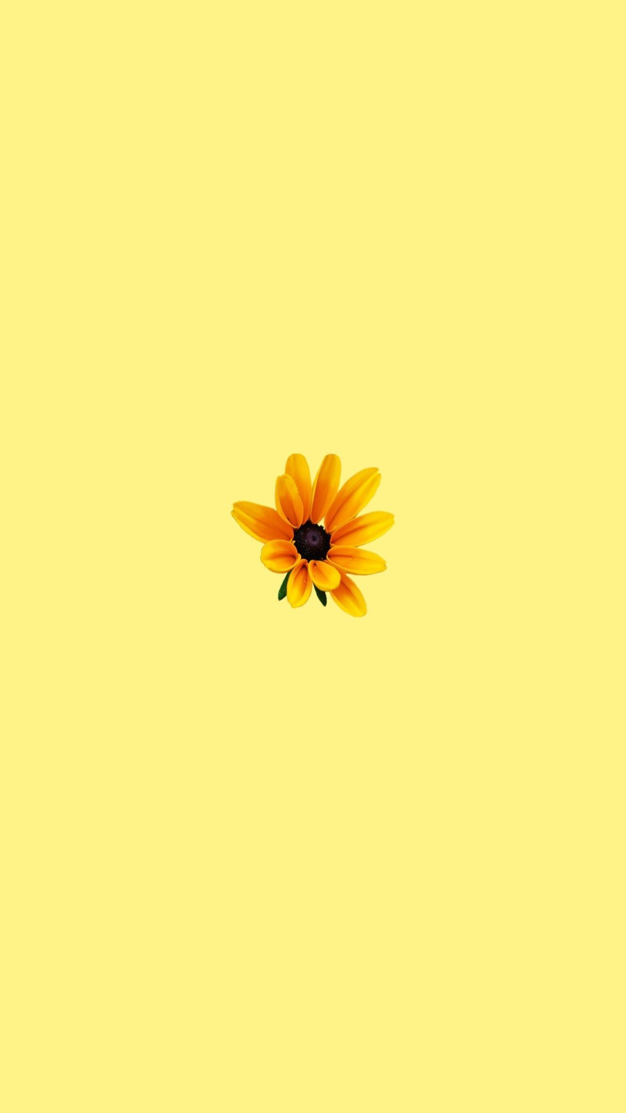 Aesthetic Yellow Wallpapers