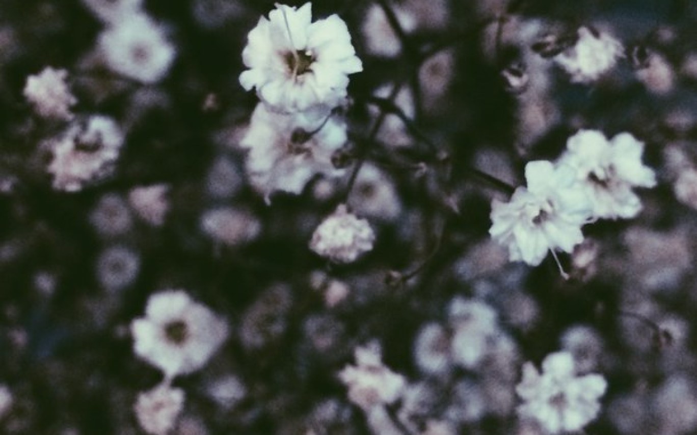 Aesthetics Flower Grunge Wallpapers