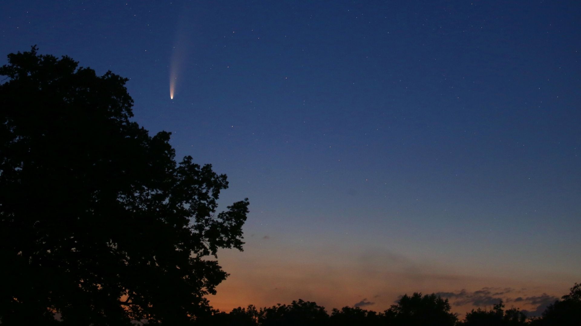 Comet Neowise Wallpapers