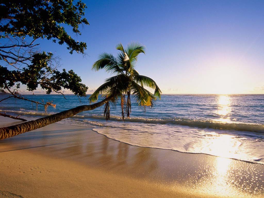 3D Beach Wallpapers