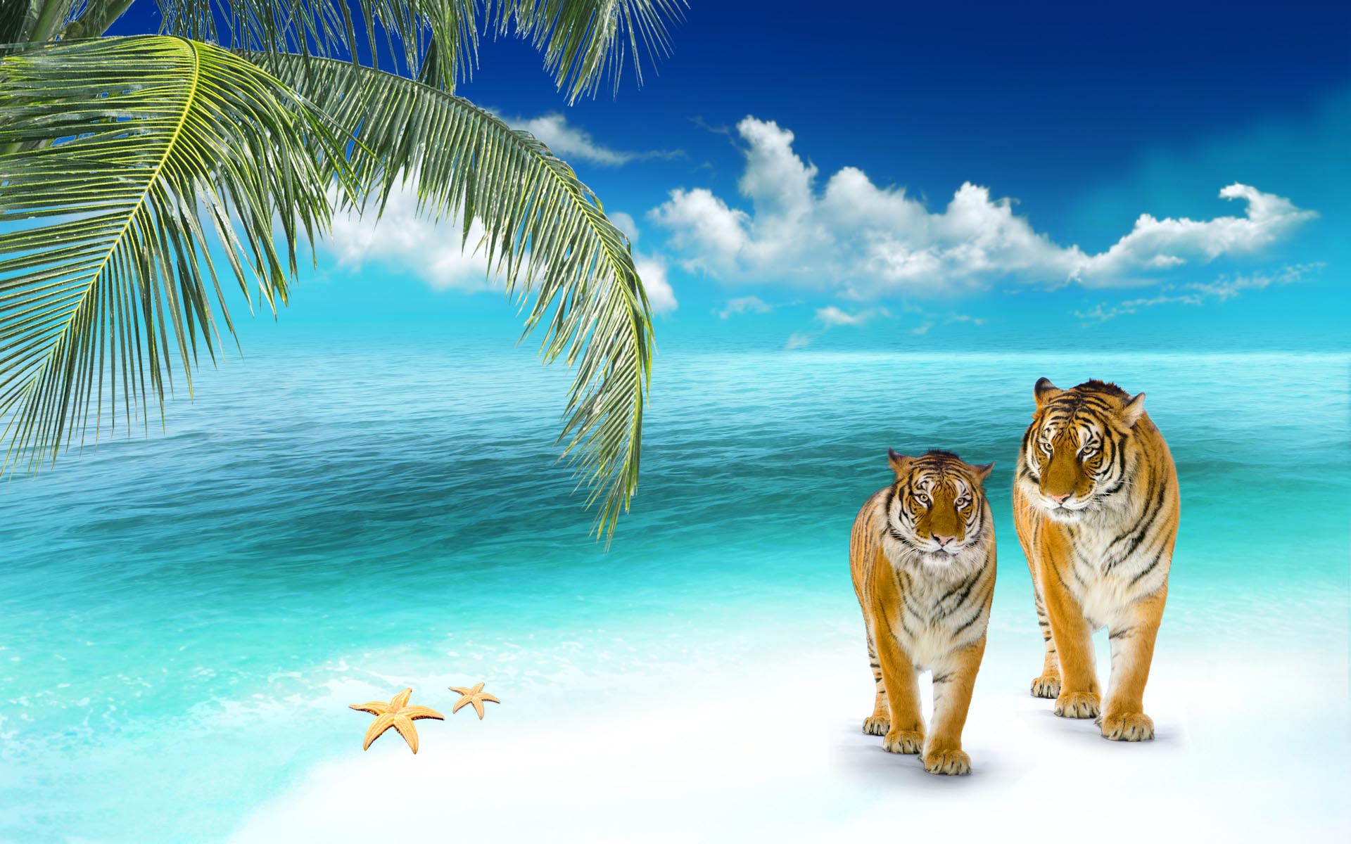 3D Beach Wallpapers