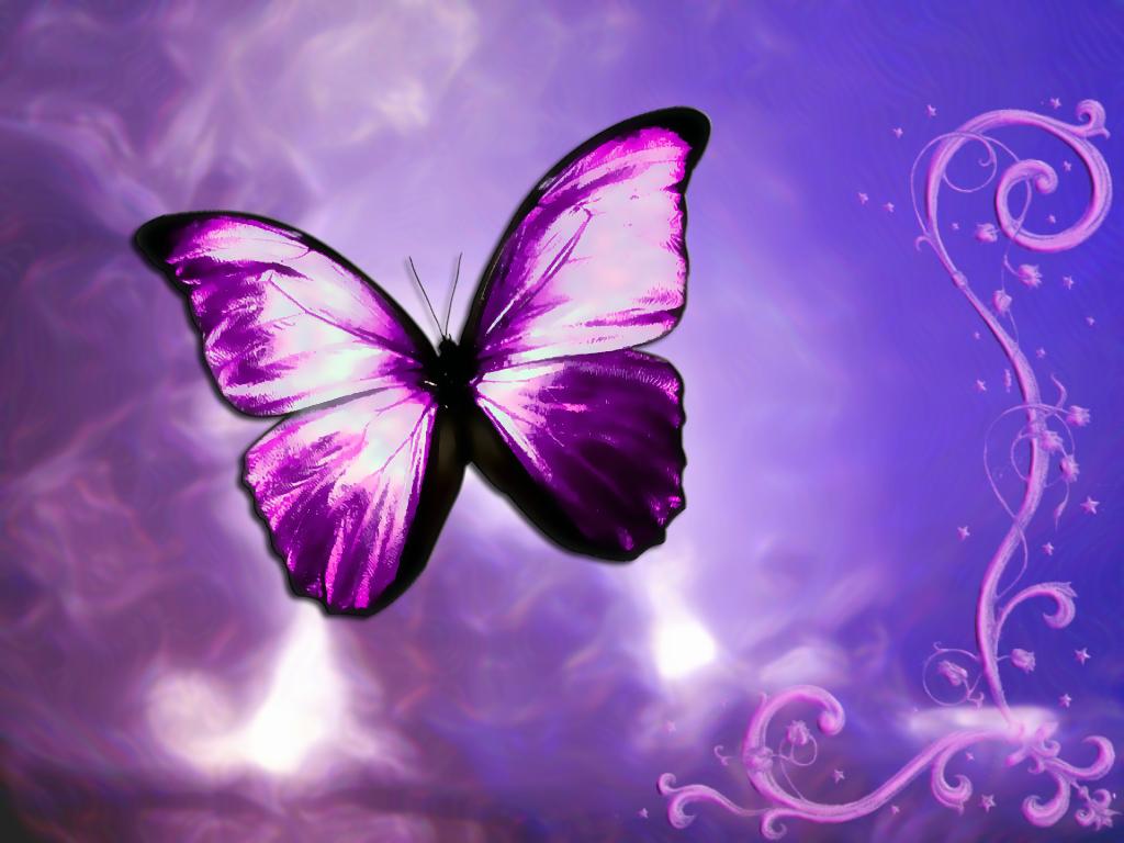 3D Butterfly Wallpapers