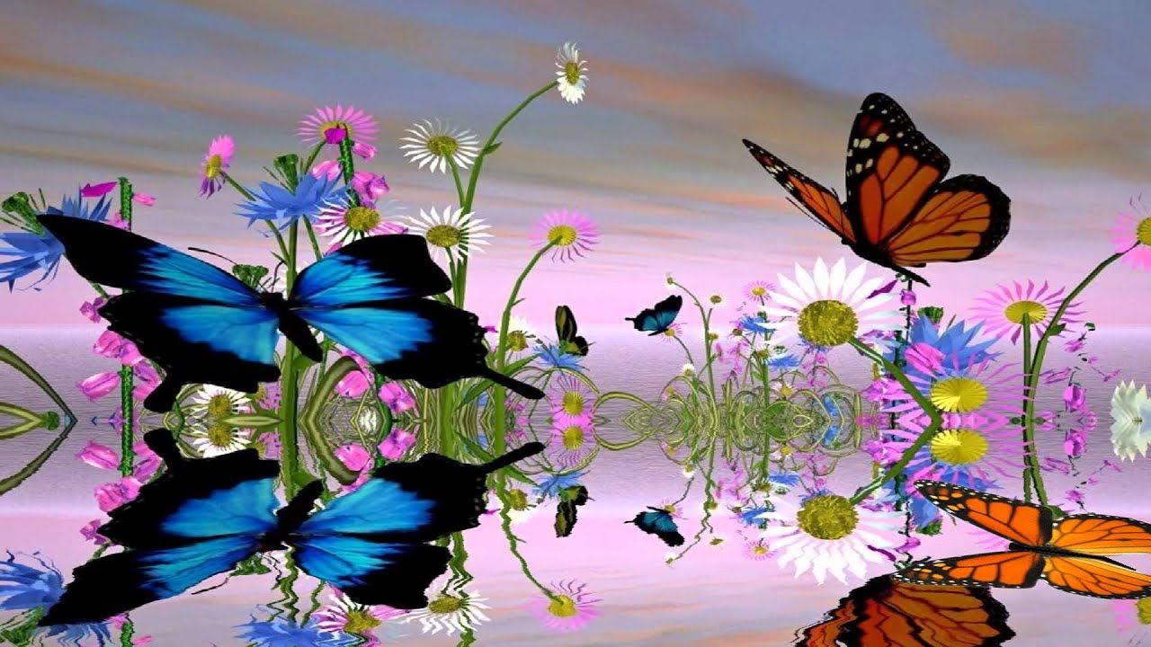 3D Butterfly Wallpapers