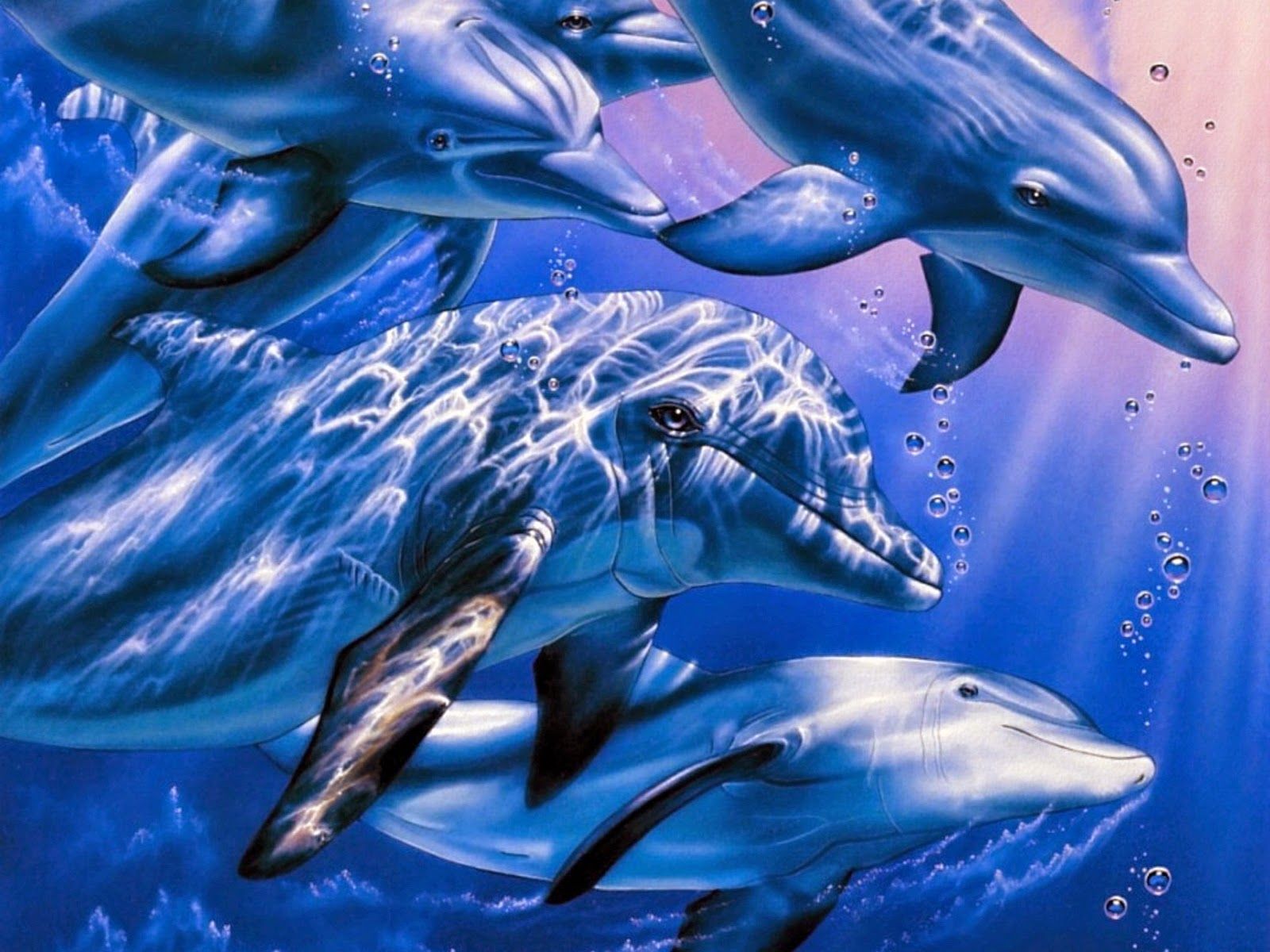 3D Dolphin Wallpapers