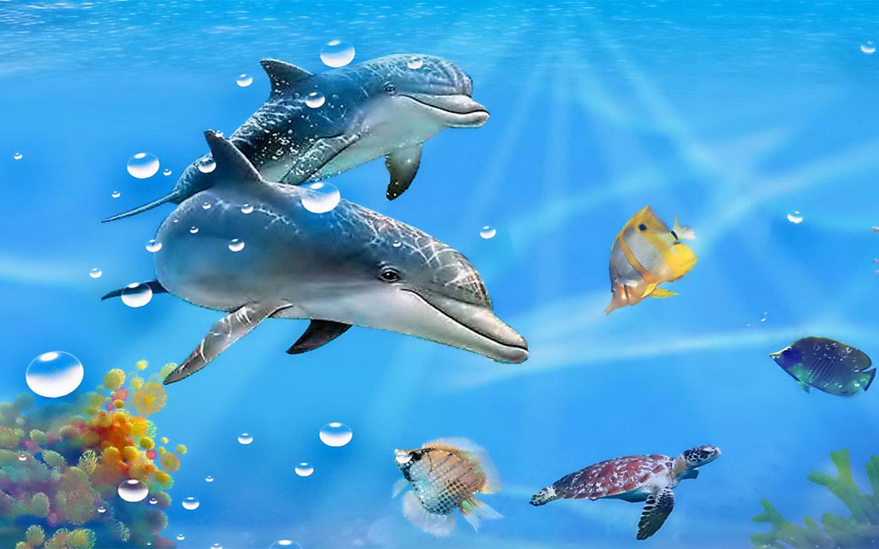 3D Dolphin Wallpapers