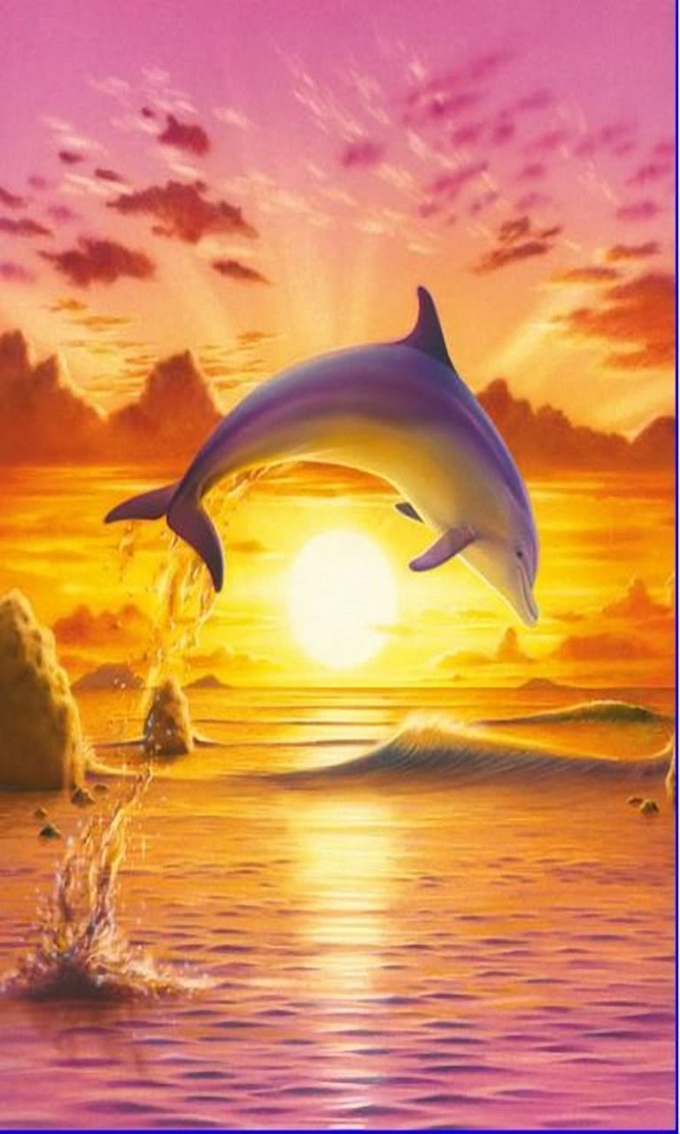 3D Dolphin Wallpapers