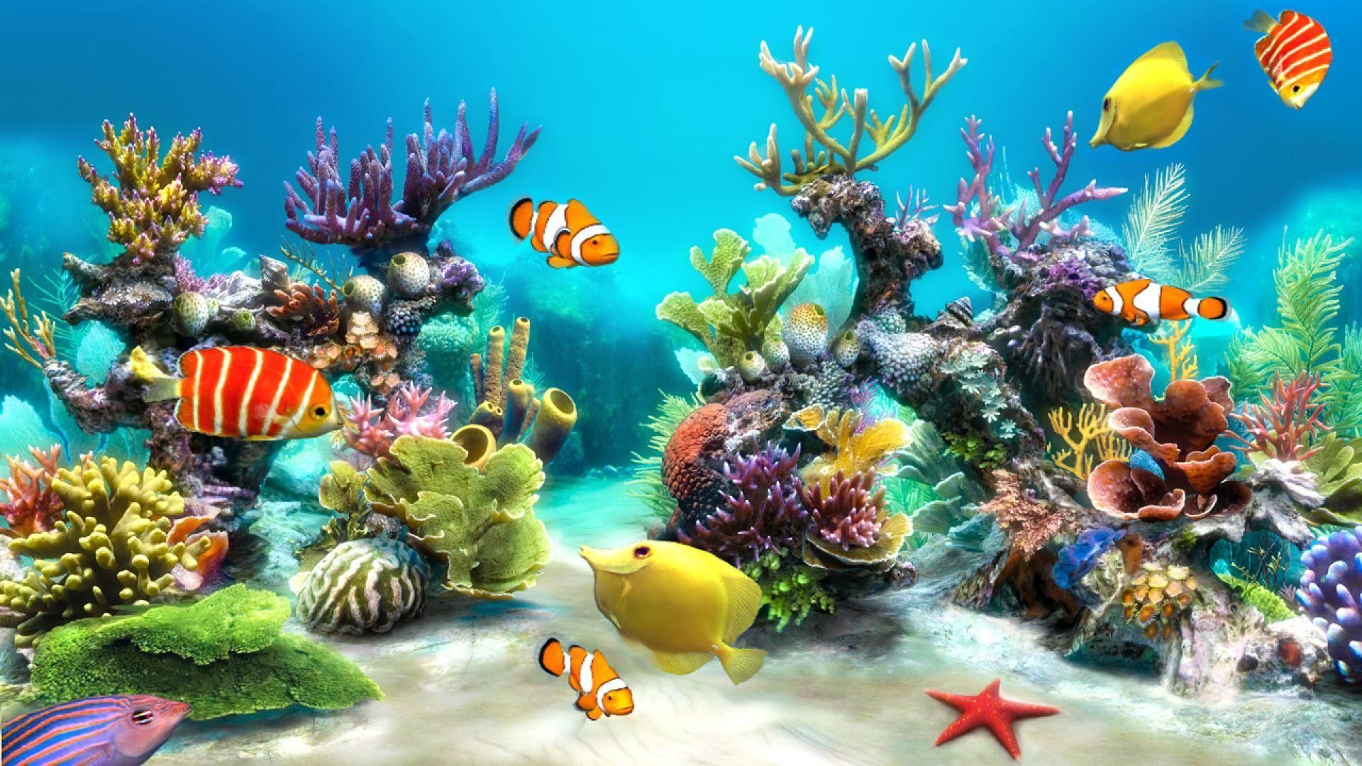 3D Fish Desktop Wallpapers