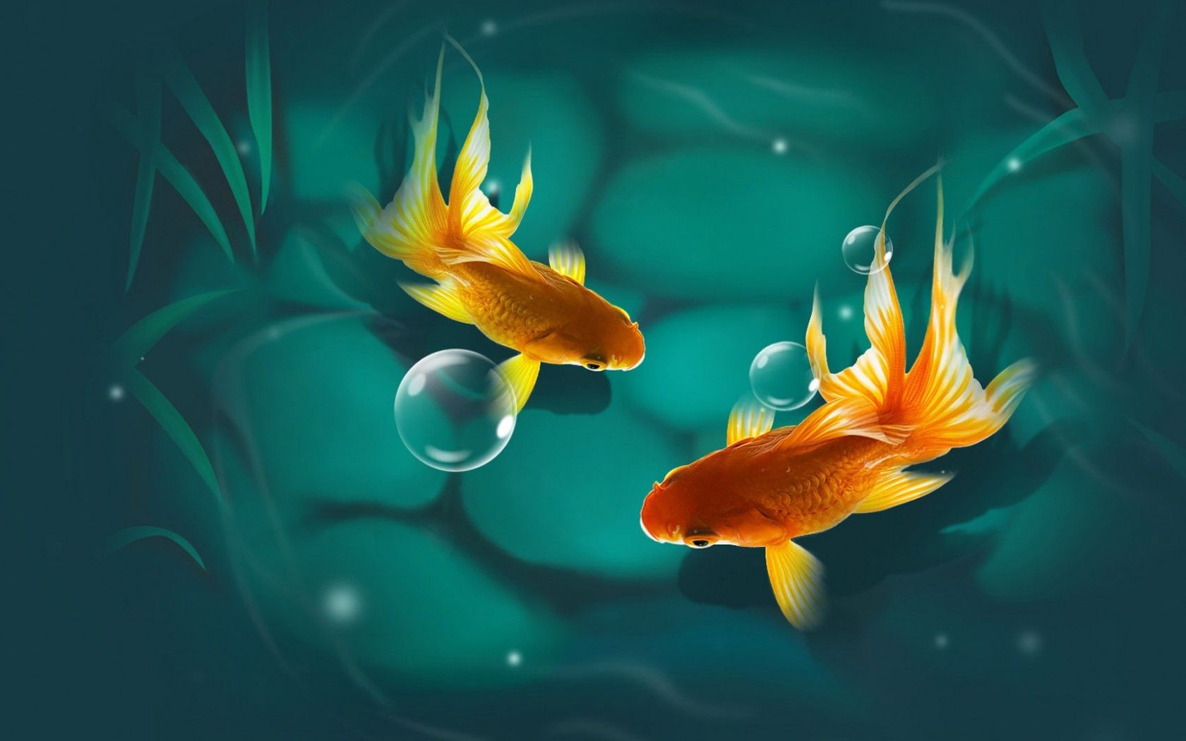 3D Fish Desktop Wallpapers