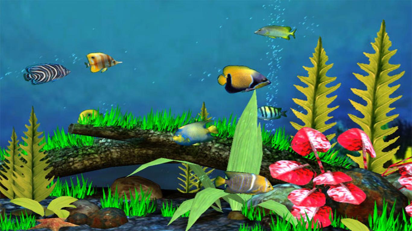 3D Fish Wallpapers