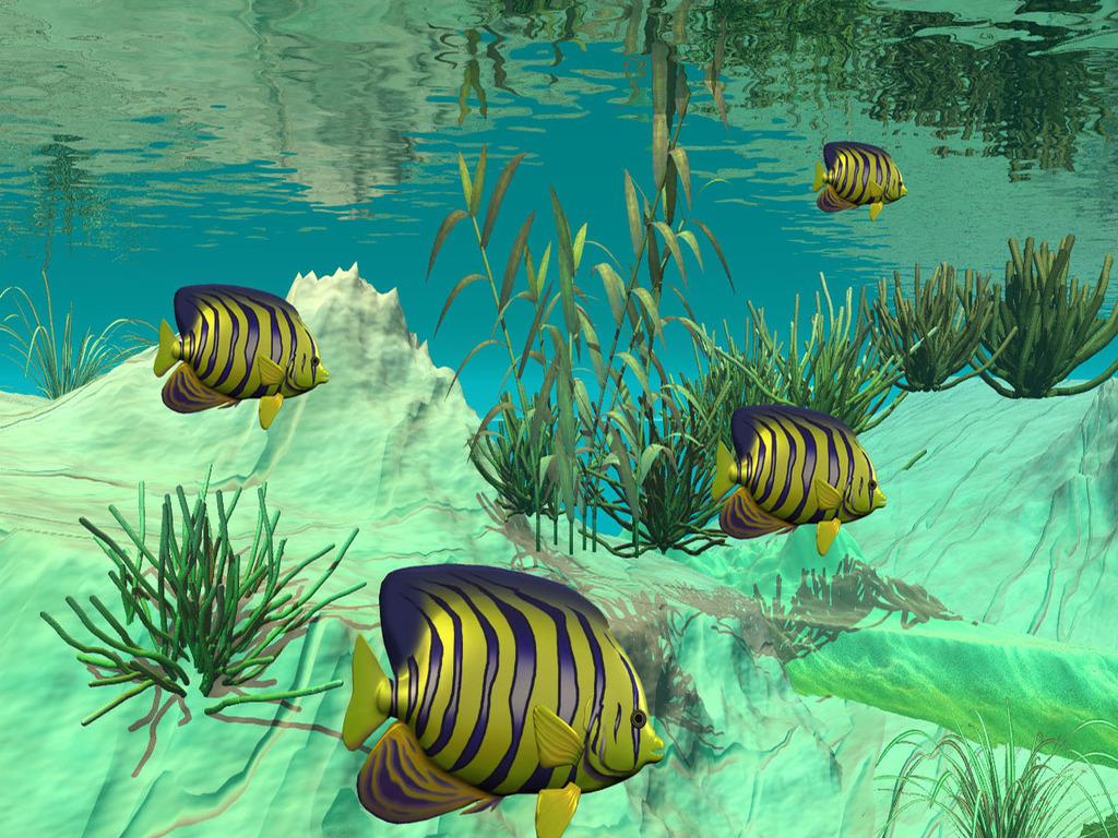 3D Fish Wallpapers