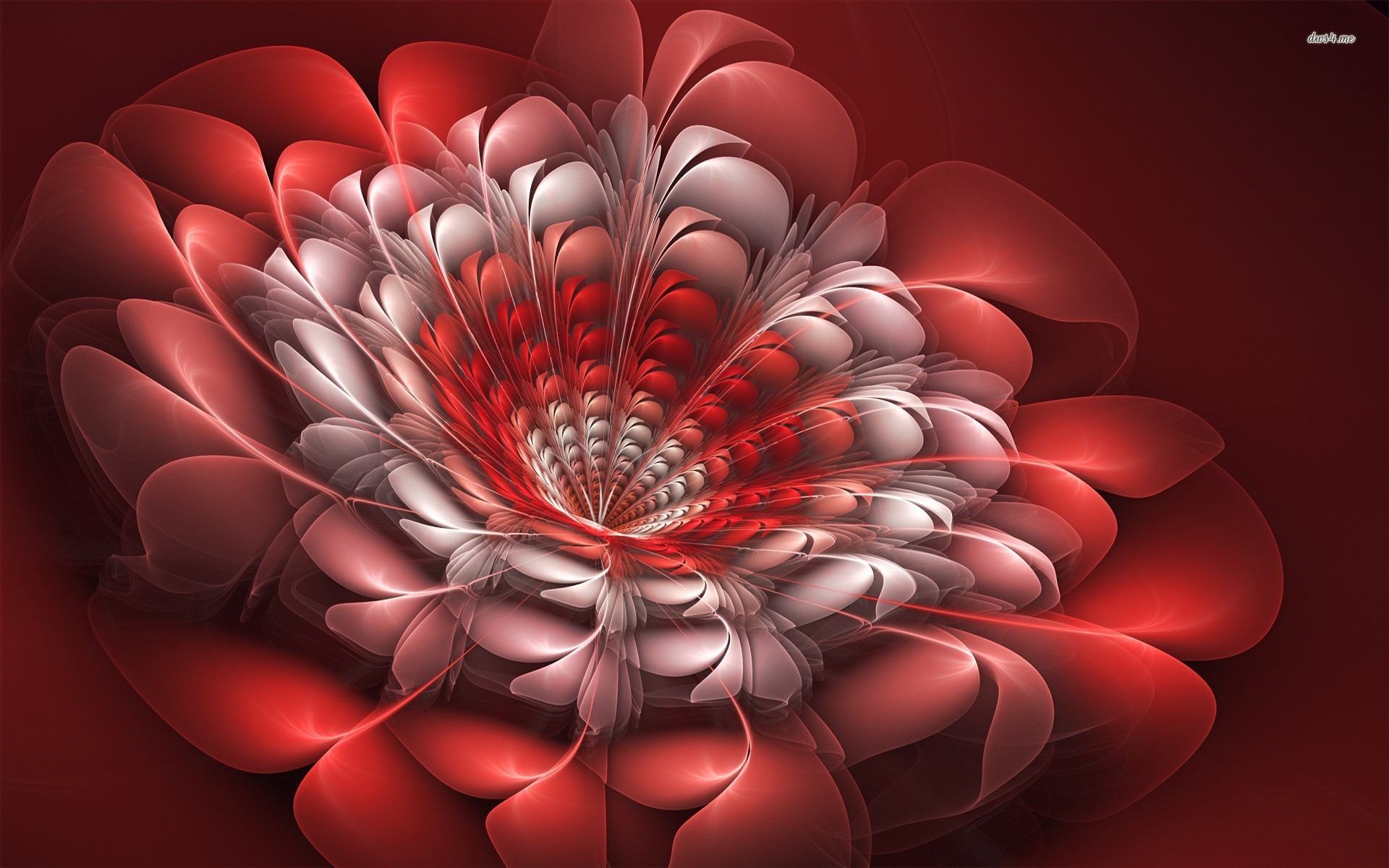 3D Flower Wallpapers