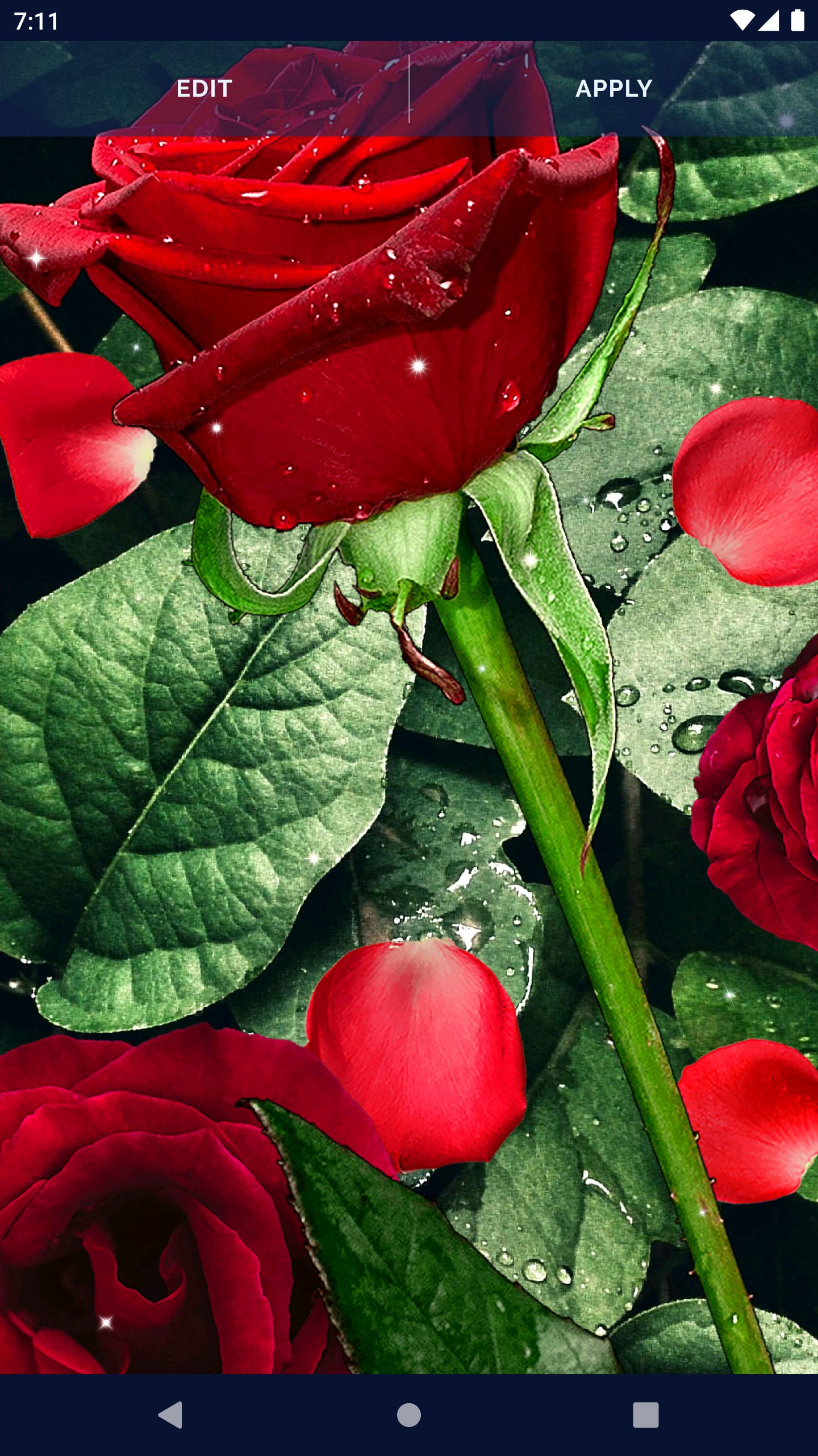 3D Flower Rose Wallpapers