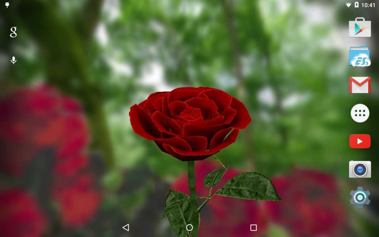 3D Flower Rose Wallpapers