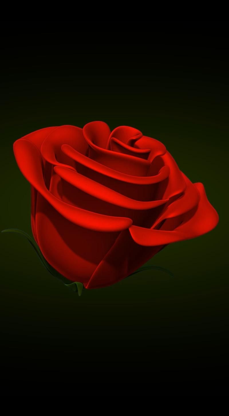 3D Hd Roses Wallpapers