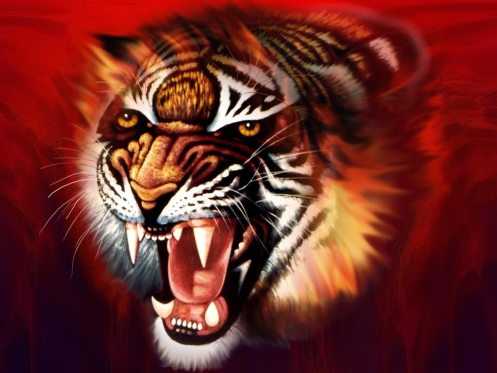 3D Hd Tiger Wallpapers