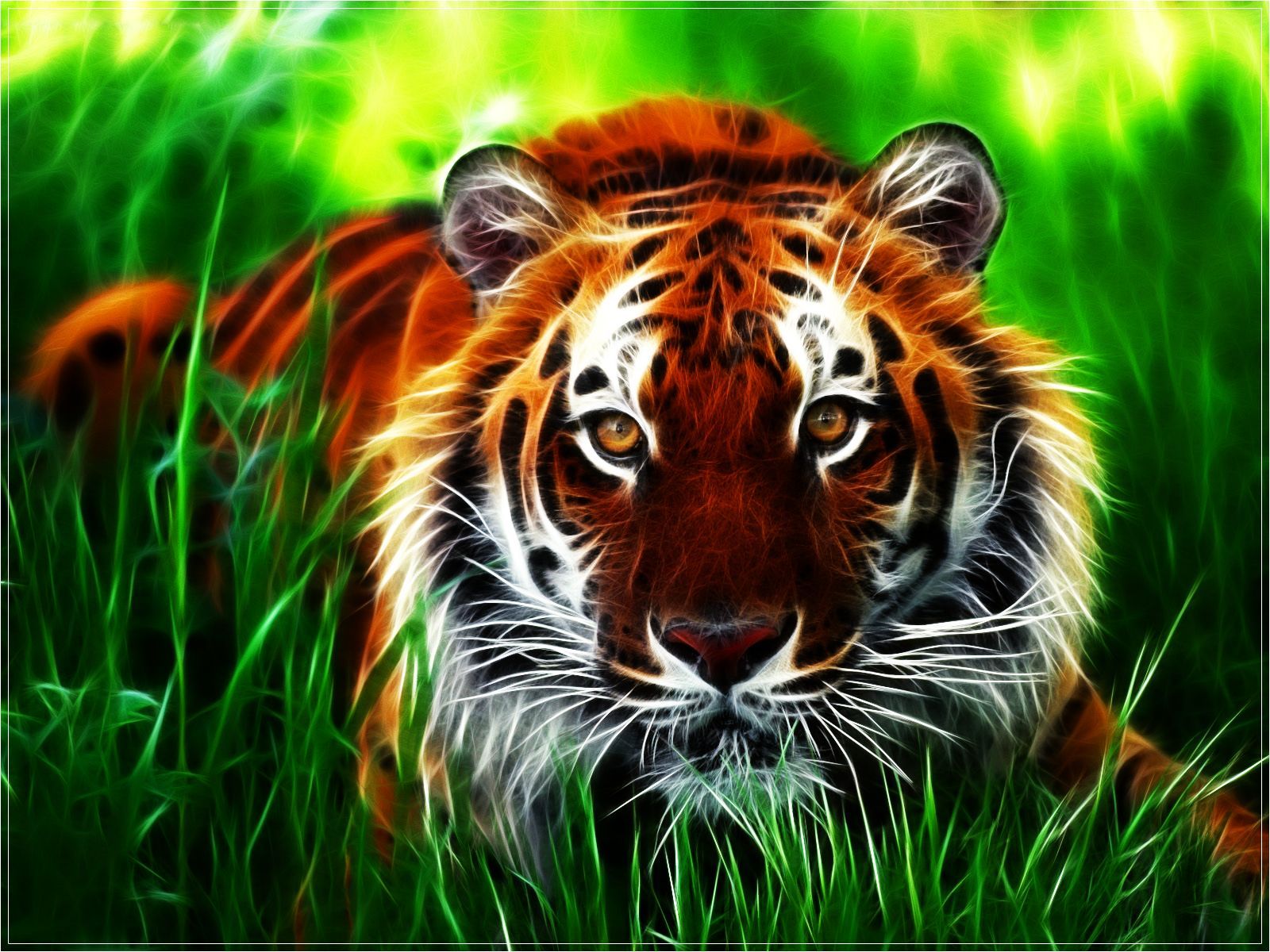 3D Hd Tiger Wallpapers