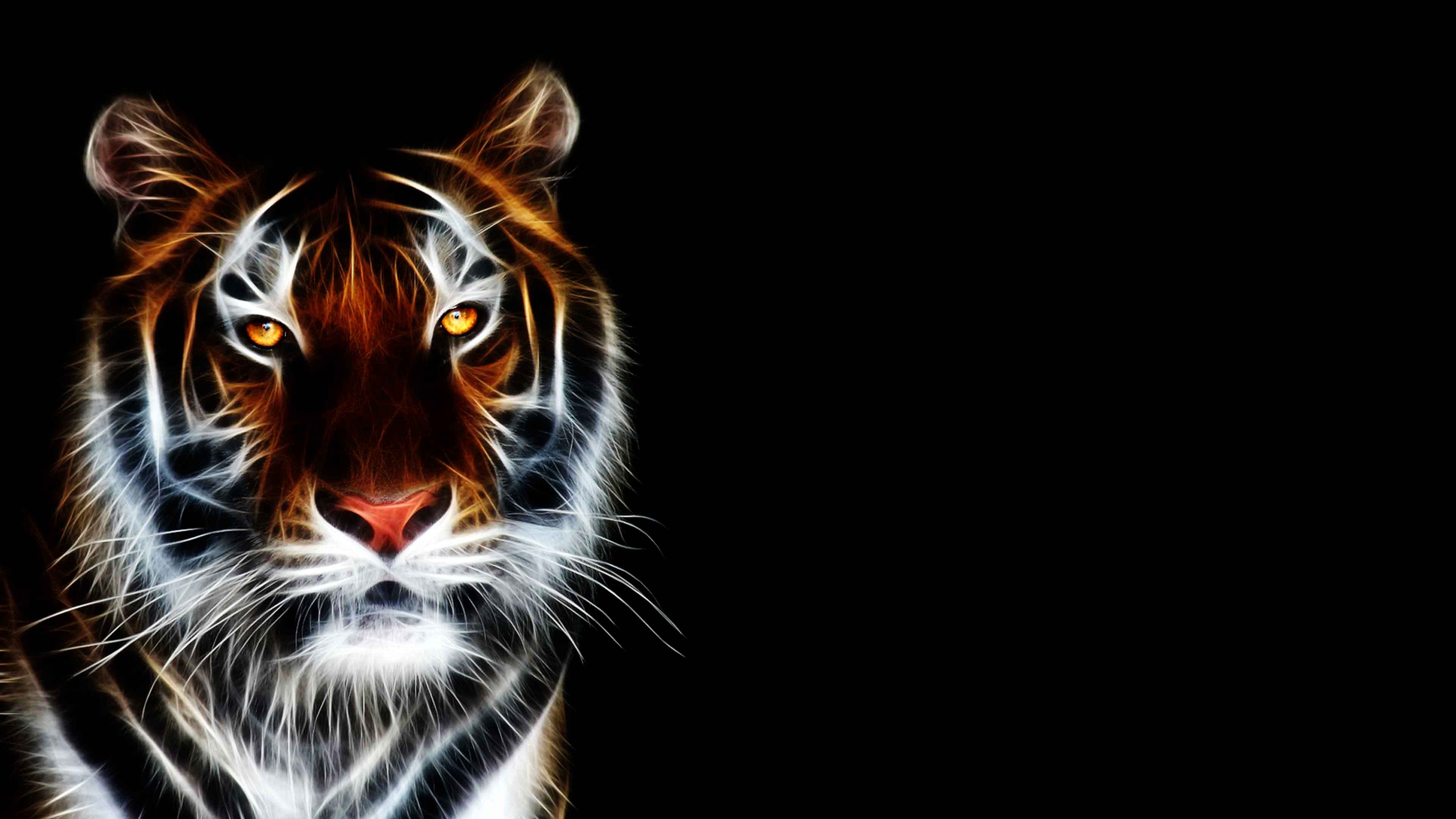 3D Hd Tiger Wallpapers