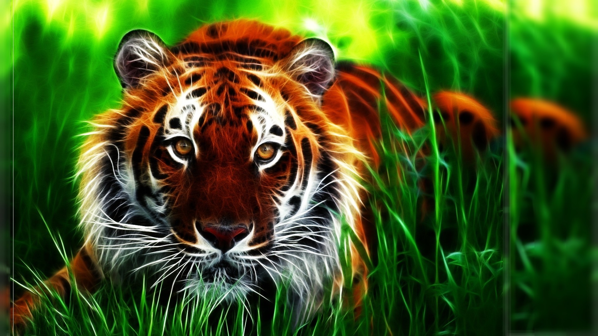 3D Hd Tiger Wallpapers