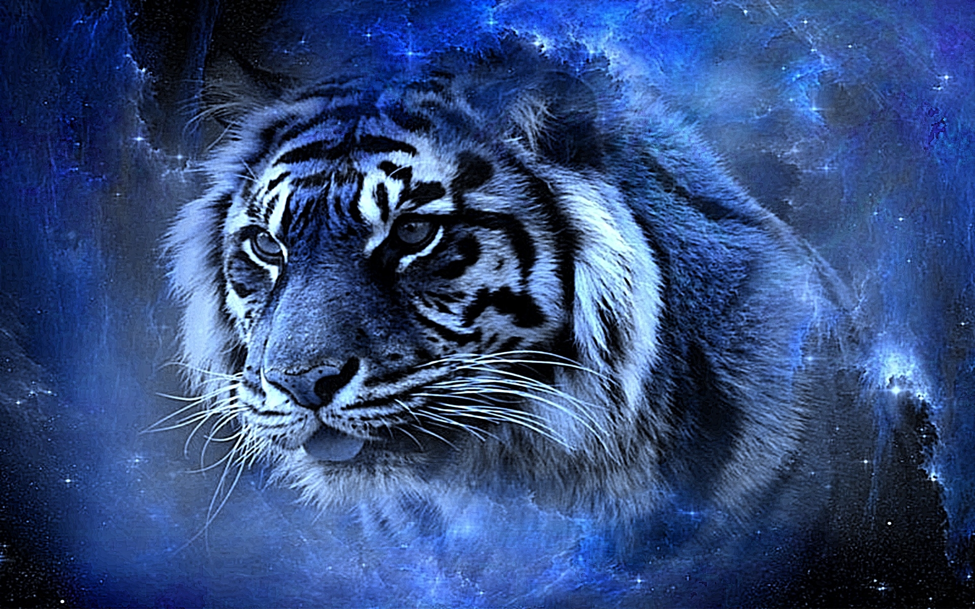 3D Hd Tiger Wallpapers