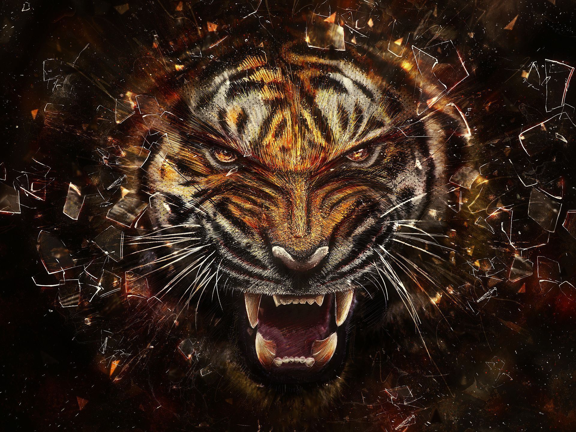 3D Hd Tiger Wallpapers